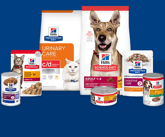 A grouping of Hill’s products including dry food, wet food.