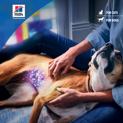 GASTROINTESTINAL DISORDERS